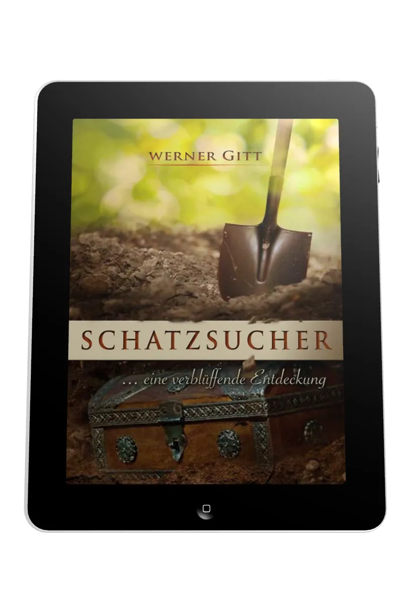 SCHATZSUCHER - ... EINE VERBLÜFFENDE ENTDECKUNG - EBOOK
