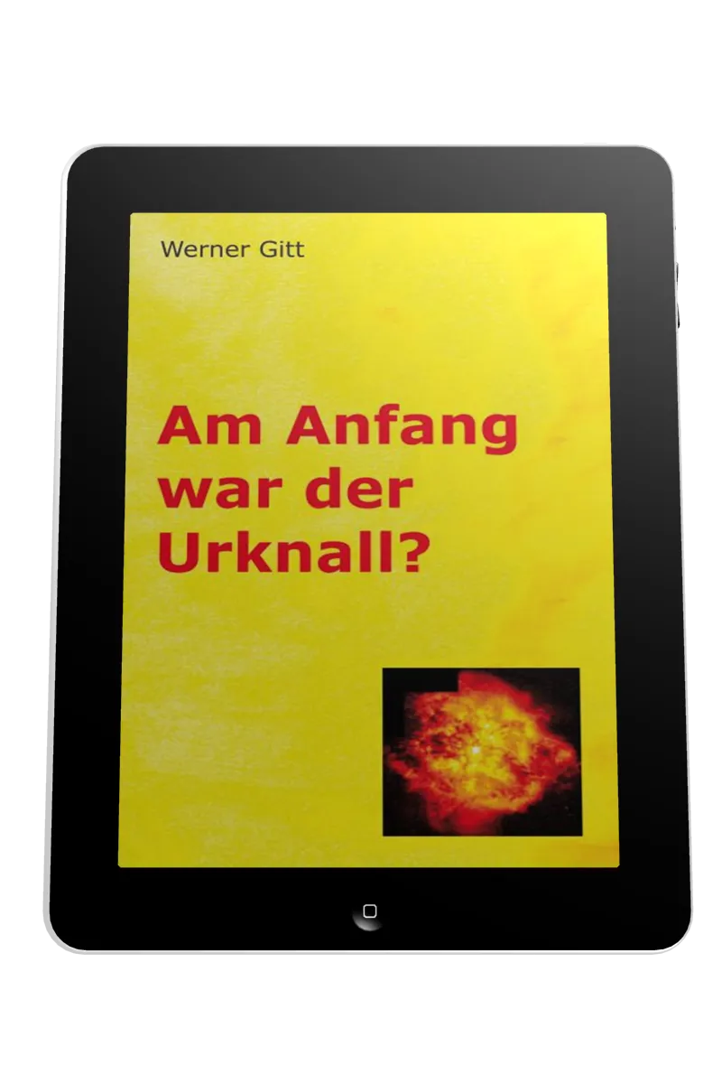 AM ANFANG WAR DER URKNALL? - EBOOK