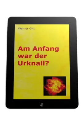 AM ANFANG WAR DER URKNALL? - EBOOK