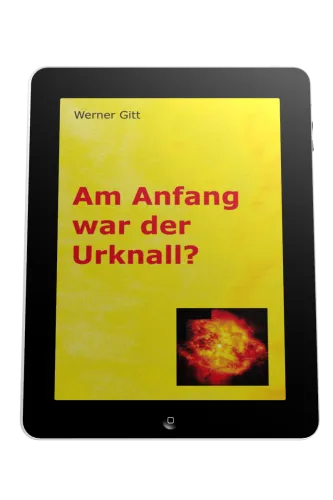AM ANFANG WAR DER URKNALL? - EBOOK