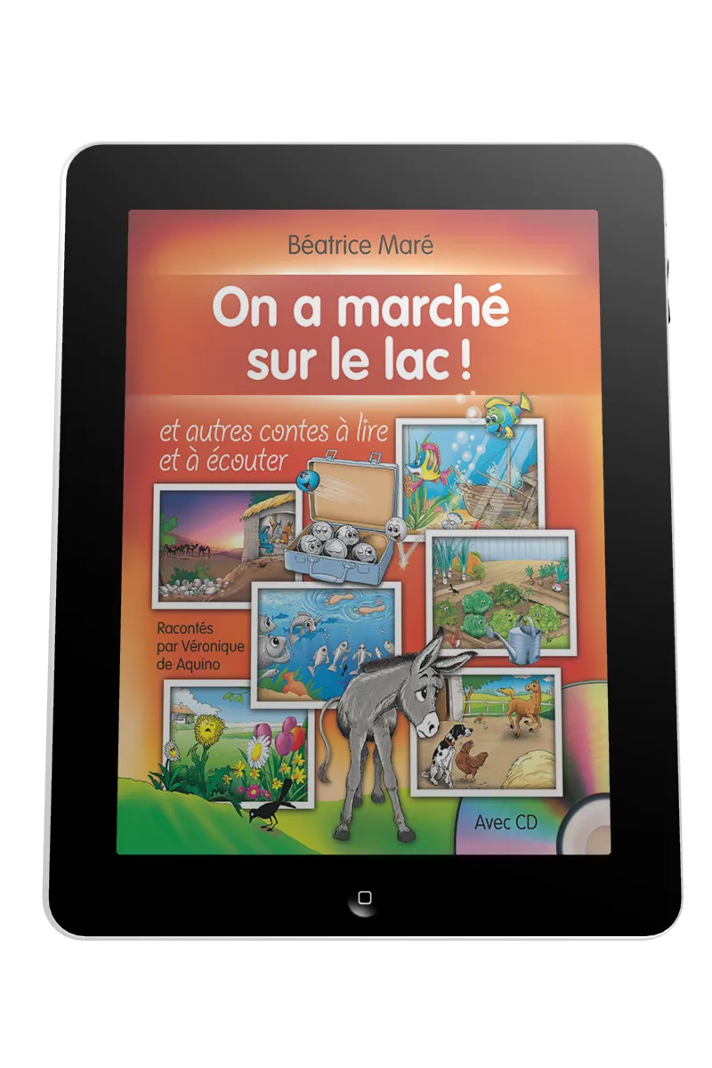 On a marché sur le lac - Ebook