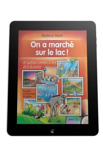 On a marché sur le lac - Ebook