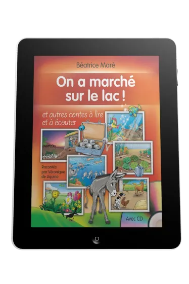 On a marché sur le lac - ePub