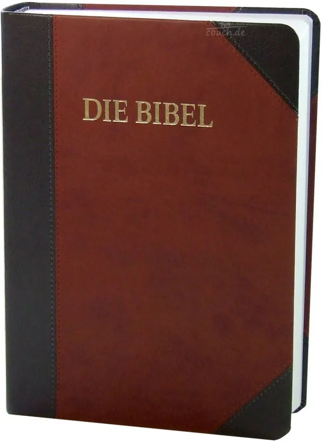 Allemand, Bible Schlachter 2000, gros caractères, duo gris-brun, reliée
