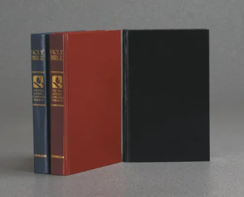 Englisch, Bibel New Revised Standard Version, kartonniert, rot