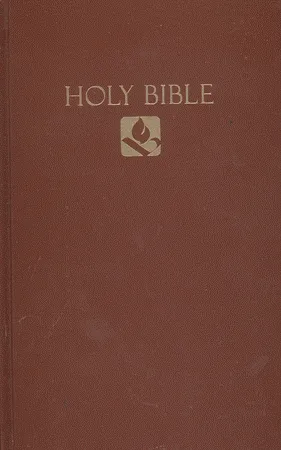 Englisch, Bibel New Revised Standard Version, kartonniert, braun