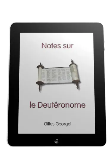 Notes sur le Deutéronome - ePub