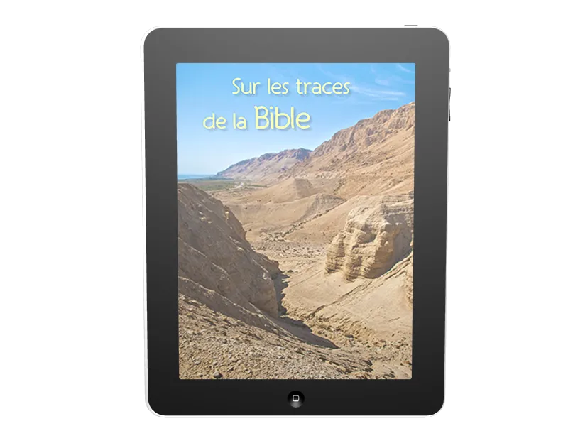 Sur les traces de la Bible - Ebook