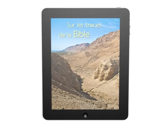 Sur les traces de la Bible - ePub