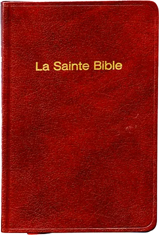 Bible Darby, de poche, grenat - couverture souple, vivella, tranche or 
