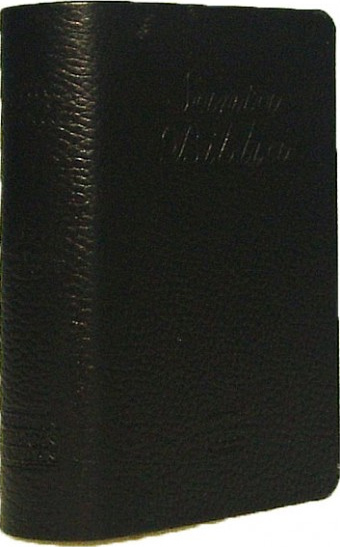 Spanisch, Bibel Reina Valera 1960, Kleinformat, Kunstleder, schwarz, Goldschnitt