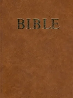 Tchèque, Bible, CET053