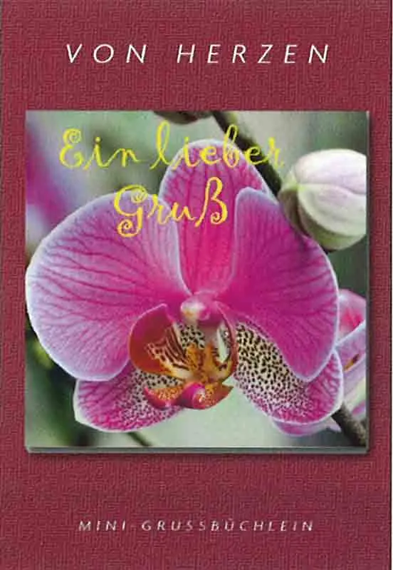 KARTE MIT MINI-GRUSSBÜCHLEIN - EIN LIEBER GRUSS