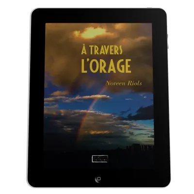 A travers l'orage - Ebook