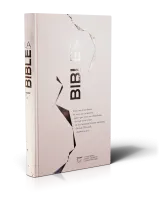 BIBEL FRANZÖSICH SEGOND 21 SLIM GEBUNDEN SILBER