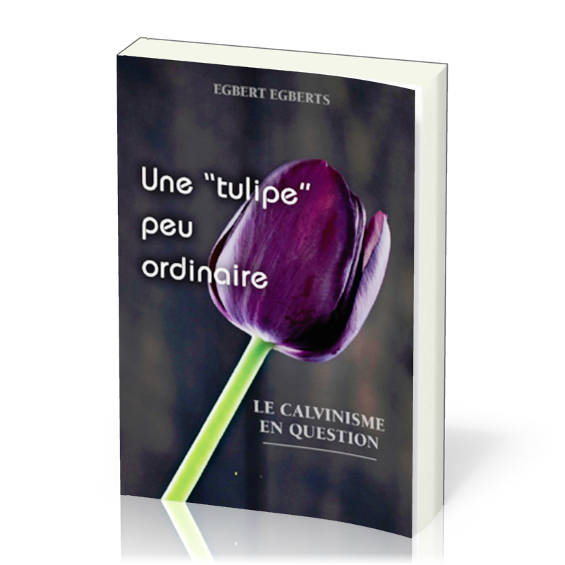 Une " tulipe" peu ordinaire - Le calvinisme en question