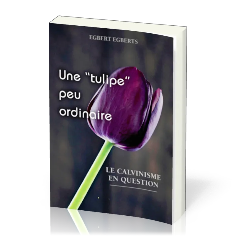 Une " tulipe" peu ordinaire - Le calvinisme en question