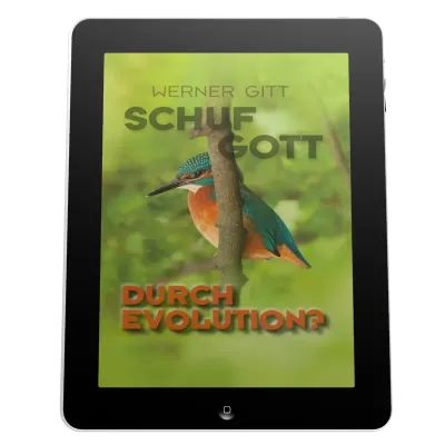 SCHUF GOTT DURCH EVOLUTION? - EBOOK