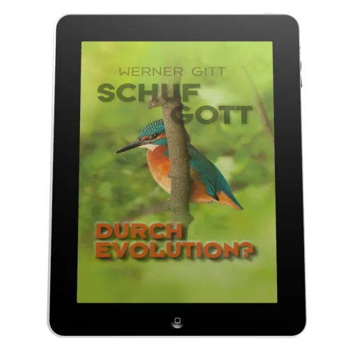SCHUF GOTT DURCH EVOLUTION? - EBOOK