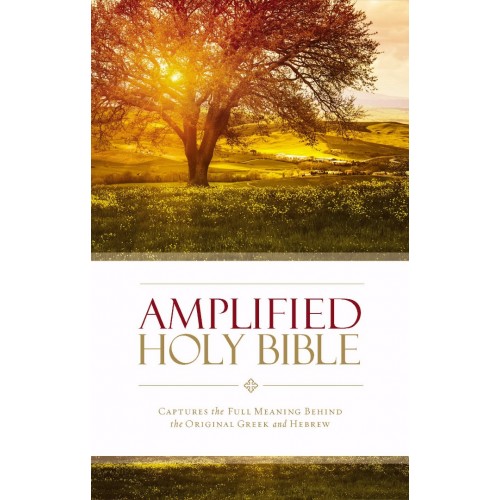 Anglais, Amplified Bible, Grand format reliée rigide