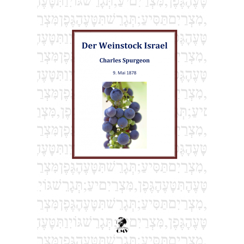 Der Weinstock Israel