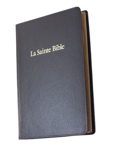 Bible Darby, noire - couverture souple, tranche or