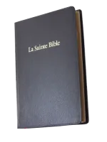 Bible Darby, noire - couverture souple, tranche or