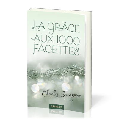 Grâce aux 1000 facettes (La)