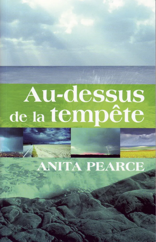 Au-dessus de la tempête