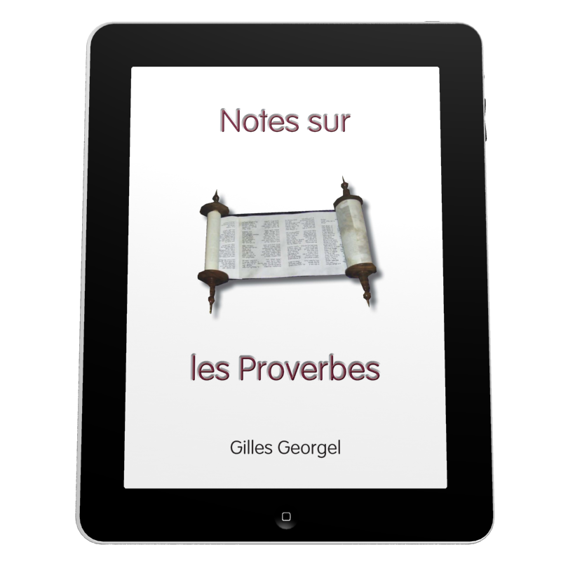 Notes sur les Proverbes - Ebook