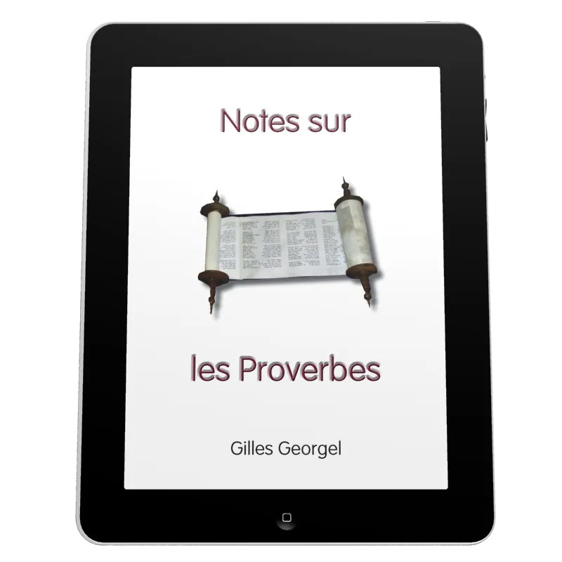 Notes sur les Proverbes - Ebook