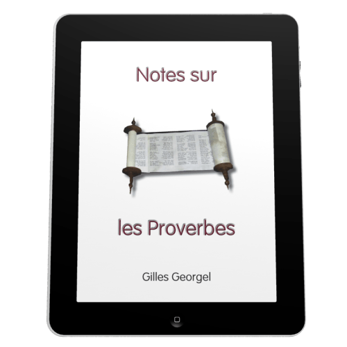 Notes sur les Proverbes - Ebook