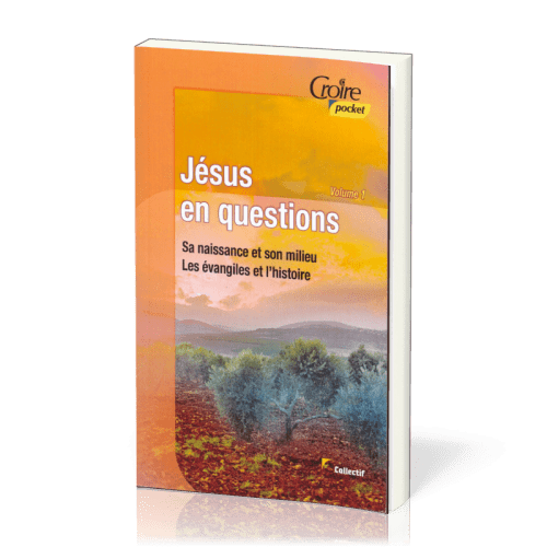 Jésus en questions - Volume 1 - Sa naissance et son milieu. Les évangiles et l'histoire