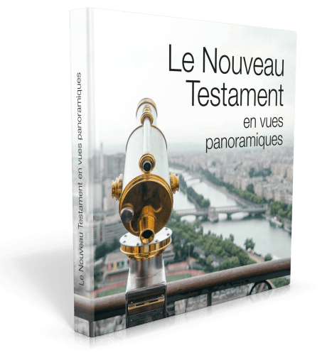 Nouveau Testament en vues panoramiques (Le)