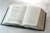 Bible à la Colombe Segond 1978, grise, interfoliée - couverture cuir, évangile 21, tranche...