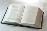 Bible Colombe interfoliée cuir gris, tranche argent, avec étui