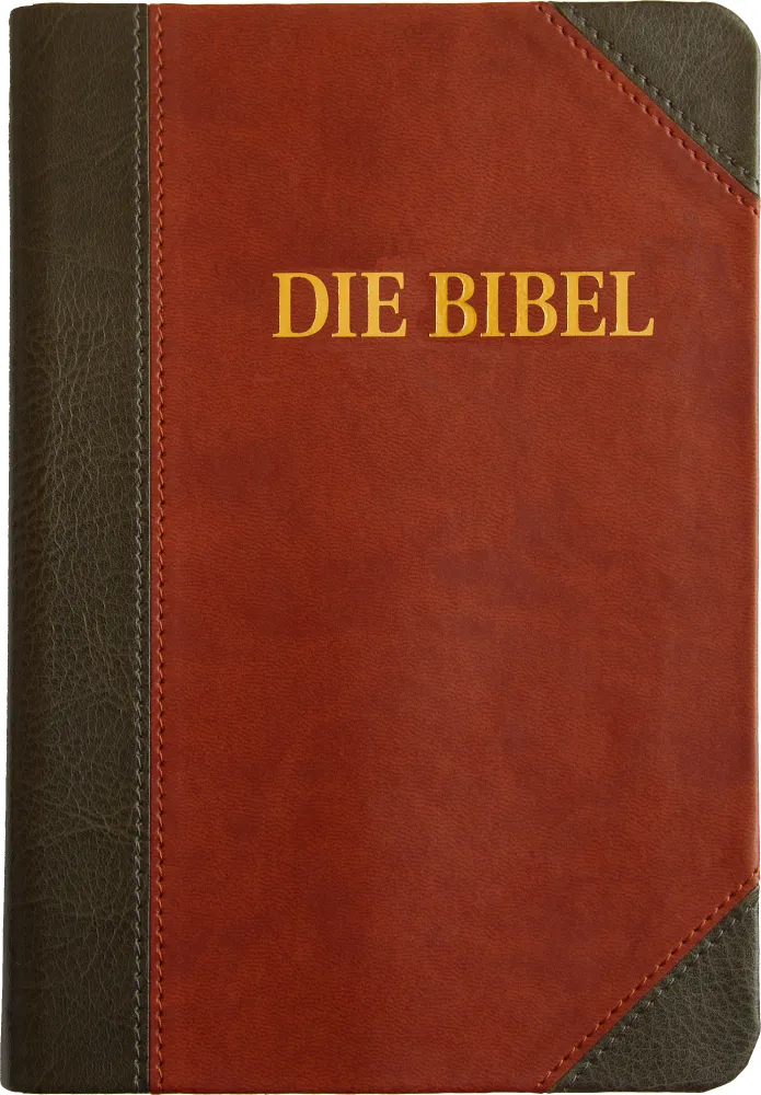 Schlachter 2000 - Standardausgabe (PU-Einband, grau/braun) Fadenheftung / neue Rechtschreibung