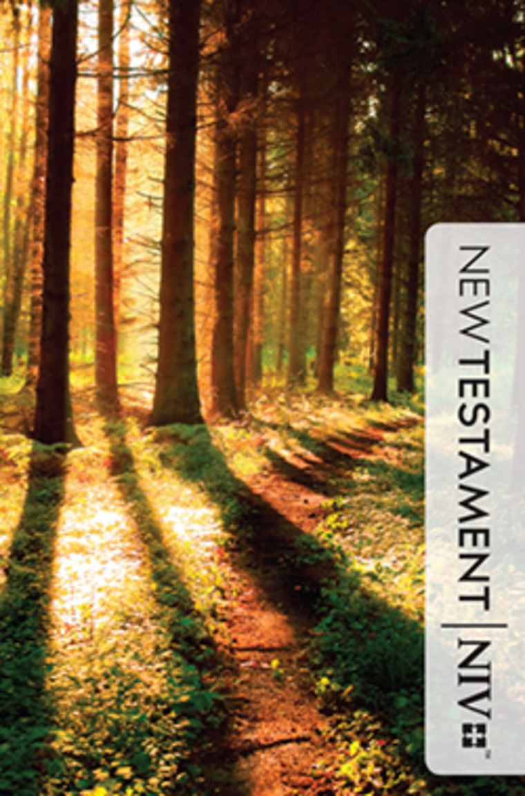 Nouveau testament NIV - New International Version 2011