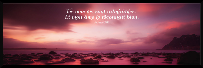 Cadre bois « Tes œuvres sont […] » Psaume 139.4, 22 x 66cm