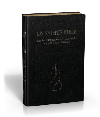 BIBEL NEG, SCOFIELD, FIBROLEDER SCHWARZ, GRIFFREGISTER, GOLDSCHN.