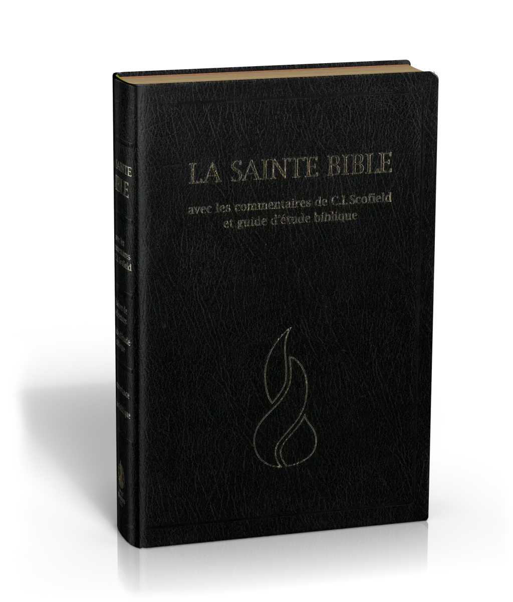 Bible d'étude Segond NEG Scofield, noire - couverture souple, fibrocuir, tranche or, avec onglets