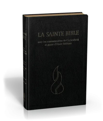 Bible d'étude Segond NEG Scofield, noire - couverture souple, fibrocuir, tranche or, avec onglets