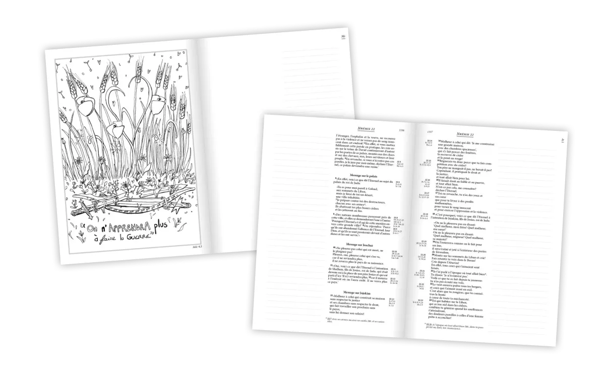 Bible Segond 21, Journal de bord, noire - couverture souple, cuir véritable