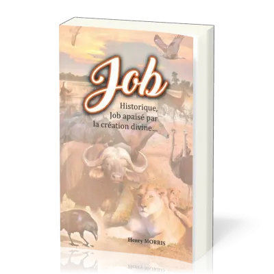 Job historique, Job apaisé par la création divine…