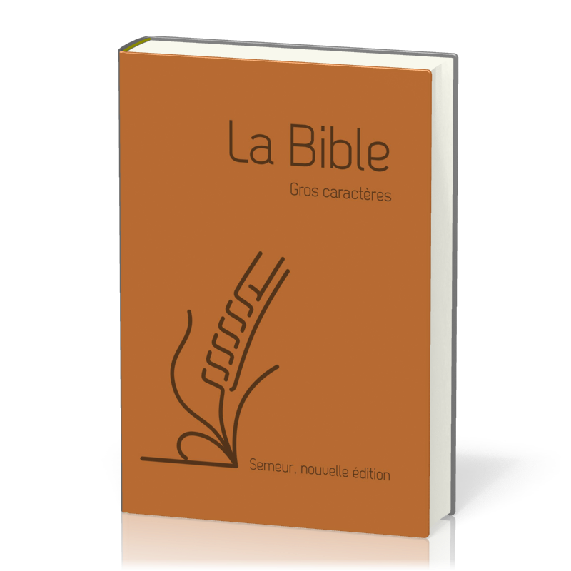 Bible Semeur 2015, gros caractères, couverture souple marron, skyvertex