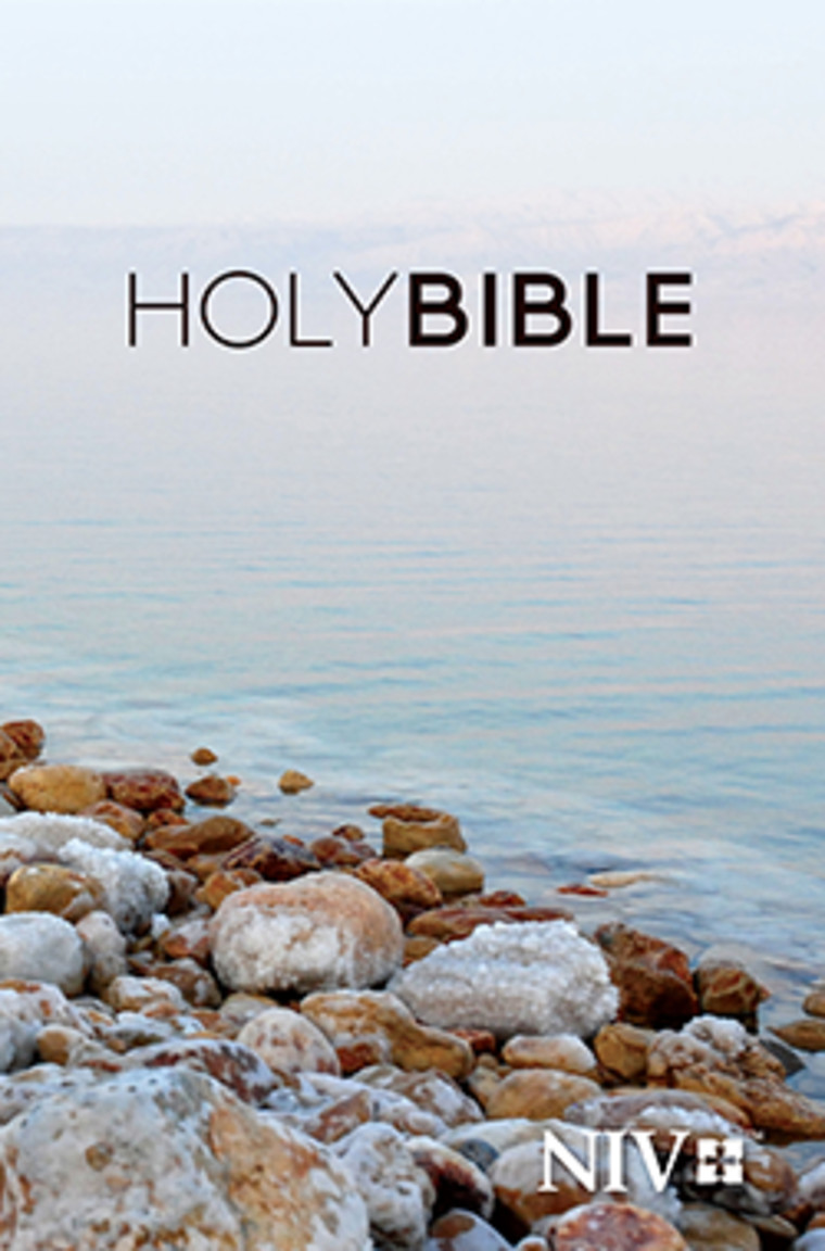 Anglais, Bible NIV - Dead Sea Shore
