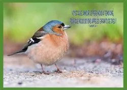 Cadre bois «Voyez de quel amour le Père […]» 1 Jean 3.1 - Horizontal