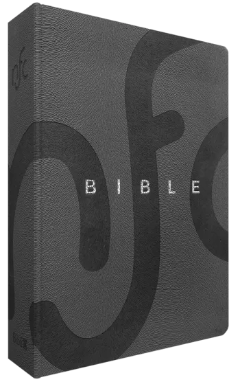 Bible Nouvelle Français Courant - couverture souple, simili cuir gris, tranche argent, avec...