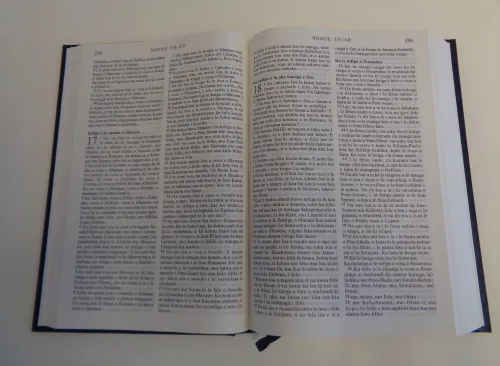 Futunien, Bible (Futuna)