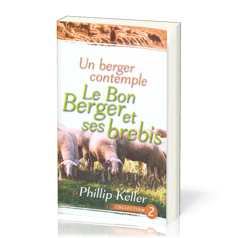 Un berger contemple - Le Bon Berger et ses brebis
